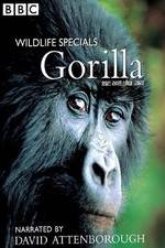 Watch Gorilla Revisited with David Attenborough Movie25