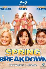 Watch Spring Breakdown Movie25