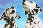 Watch 101 Dalmatians Sing Along Movie25