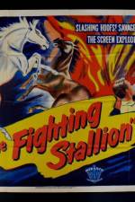 Watch The Fighting Stallion Movie25
