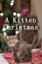 Watch A Kitten Christmas Movie25