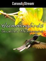 Watch Hummingbirds Jewelled Messengers Movie25