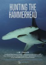 Watch Hunting the Hammerhead Movie25