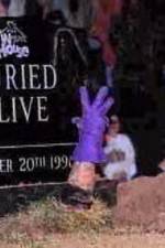Watch WWF Buried Alive In Your House Movie25