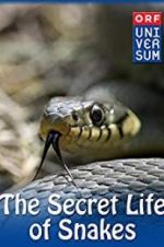 Watch The Secret Life of Snakes Movie25
