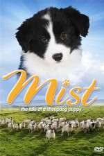 Watch Mist: The Tale of a Sheepdog Puppy Movie25