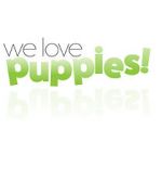Watch We Love Puppies Movie25