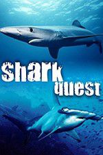 Watch Shark Quest Movie25