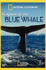 Watch National Geographic Kingdom of Blue Whale Movie25