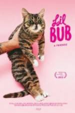 Watch Lil Bub & Friendz Movie25