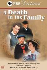 Watch A Death in the Family Movie25