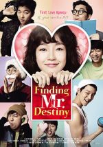 Watch Finding Mr. Destiny Movie25
