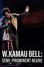 Watch W. Kamau Bell: Semi-Promenint Negro Movie25