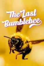 Watch The Last Bumblebee Movie25