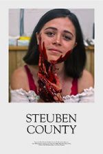 Watch Steuben County Movie25