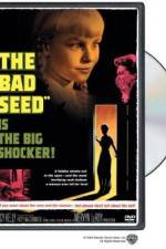 Watch The Bad Seed Movie25