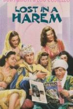 Watch Lost in a Harem Movie25