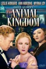 Watch The Animal Kingdom Movie25