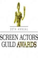 Watch The 20th Annual Screen Actors Guild Awards Movie25
