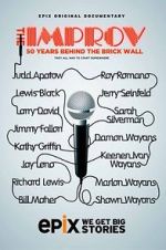 Watch The Improv: 50 Years Behind the Brick Wall (TV Special 2013) Movie25