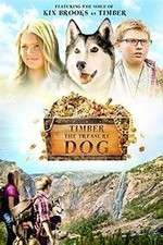 Watch Timber the Treasure Dog Movie25