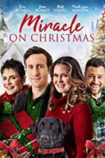 Watch Miracle on Christmas Movie25