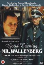 Watch Good Evening, Mr. Wallenberg Movie25