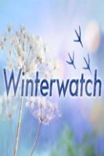 Watch Winterwatch Movie25