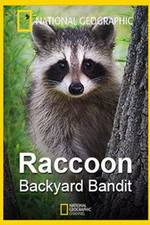 Watch Raccoon: Backyard Bandit Movie25