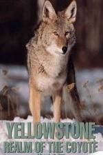 Watch Yellowstone: Realm of the Coyote Movie25