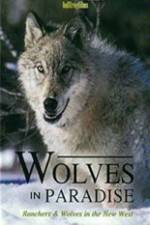 Watch Wolves in Paradise Movie25