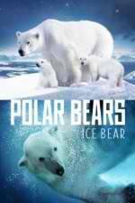 Watch Polar Bears Ice Bear Movie25