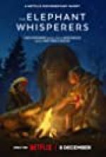 Watch The Elephant Whisperers Movie25