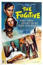 Watch The Fugitive Movie25