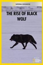 Watch The Rise of Black Wolf Movie25
