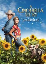 Watch A Cinderella Story: Starstruck Movie25