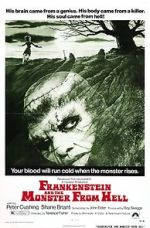 Watch Frankenstein and the Monster from Hell Movie25
