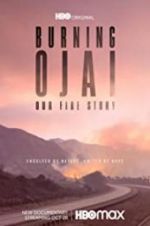 Watch Burning Ojai: Our Fire Story Movie25