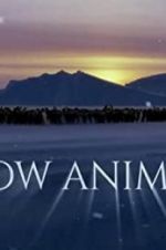 Watch Snow Animals Movie25