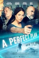 Watch A Perfect Plan Movie25