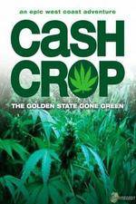 Watch Cash Crop Movie25
