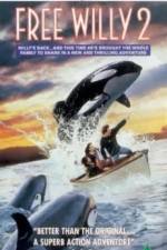 Watch Free Willy 2 The Adventure Home Movie25