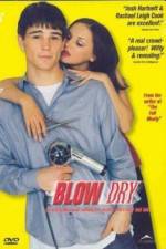 Watch Blow Dry Movie25