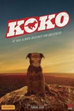 Watch Koko: A Red Dog Story Movie25