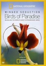 Watch Winged Seduction: Birds of Paradise Movie25