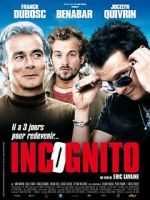 Watch Incognito Movie25