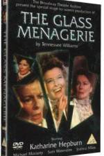 Watch The Glass Menagerie Movie25