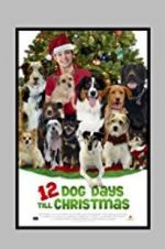 Watch 12 Dog Days Till Christmas Movie25
