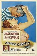 Watch Female on the Beach Movie25