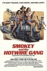 Watch Smokey and the Hotwire Gang Movie25